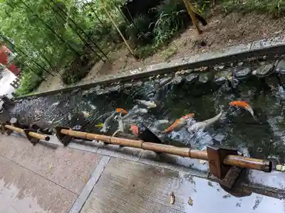 秩父神社(埼玉県)