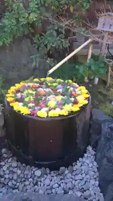 心行寺の{uncategorized: "未分類", other: "その他", undefined: "問題あり", building: "その他建物", grave: "お墓", sacred_gate: "鳥居", guardian: "狛犬", statue: "像", buddha: "仏像", history: "歴史", nature: "自然", garden: "庭園", animal: "動物", pagoda: "塔", temizu: "手水舎", mountain_gate: "山門・神門", sanctuary: "本殿・本堂", subordinate: "末社・摂社", art: "芸術", scenery: "景色", jizo: "地蔵", ema: "絵馬", goshuin: "御朱印", omikuji: "おみくじ", items: "授与品その他", amulet: "お守り", goshuincho: "御朱印帳", eats: "食事", festival: "お祭り", votive_dance: "神楽", shichigosan: "七五三参", wedding: "結婚式", experience: "体験その他", initially: "初詣", around: "周辺", anti_infection: "感染症対策"}