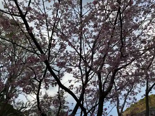 城願寺(神奈川県)