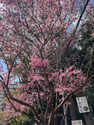 生田神社(兵庫県)