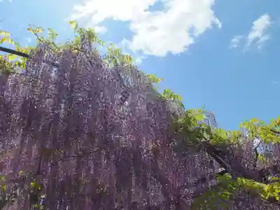 三大神社の自然