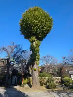 芳林寺(埼玉県)