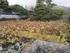 善光寺大勧進の庭園