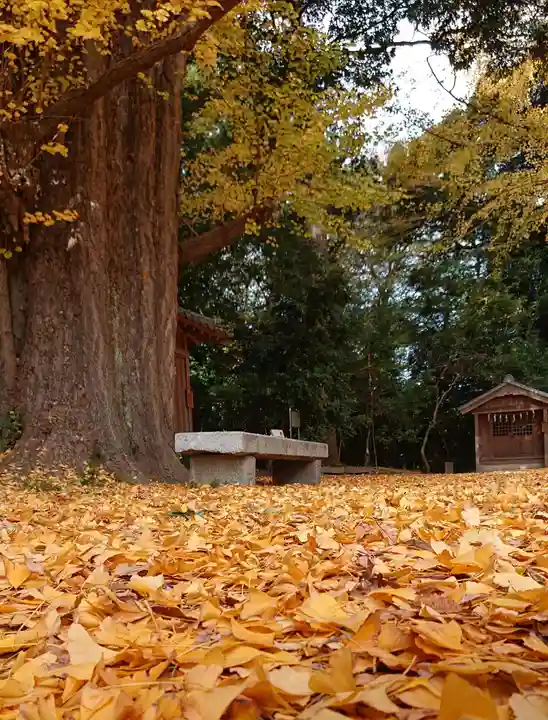 玉敷神社(埼玉県)