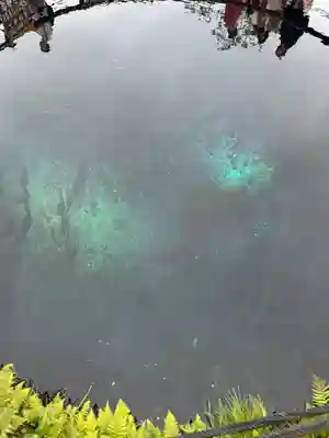 淺間神社（忍野八海）(山梨県)