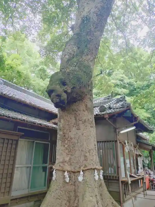 氷川女體神社(埼玉県)