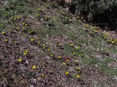 正観音堂(福島県)
