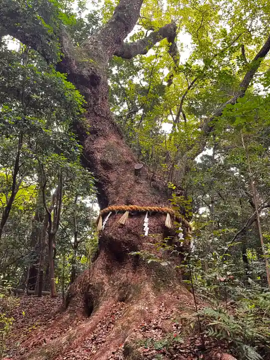 熱田神宮(愛知県)