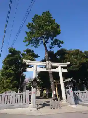 菊田神社の鳥居