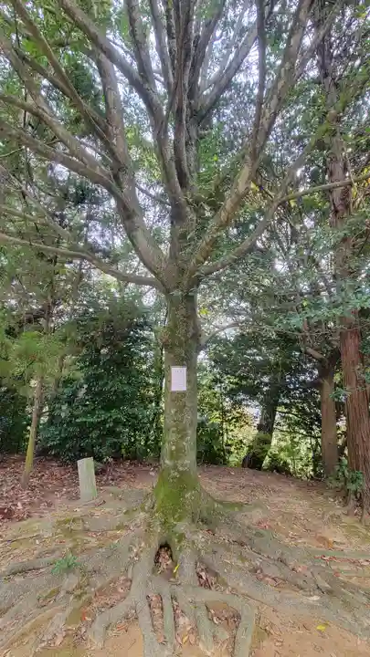 三島神社(樋口)(愛媛県)