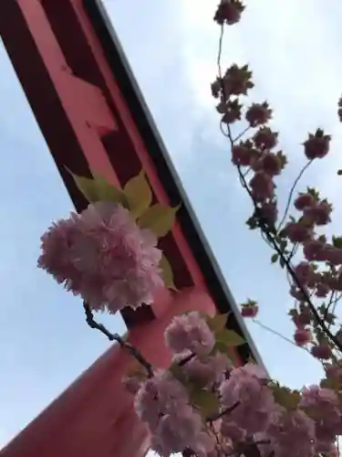 亀戸天神社の自然