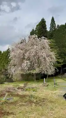 福徳寺(京都府)