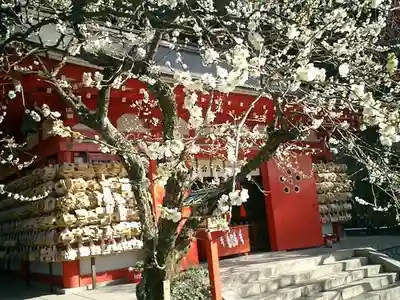 荏柄天神社の本殿・本堂