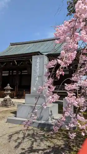 妙顯寺（妙顕寺）の本殿・本堂