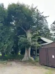 御嶽神社(神奈川県)