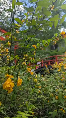 賀茂御祖神社（下鴨神社）(京都府)