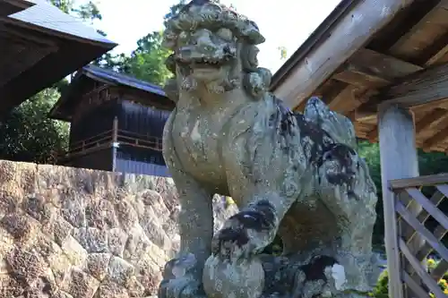 大山祇神社の狛犬