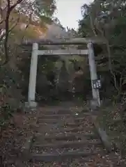 愛宕神社の鳥居