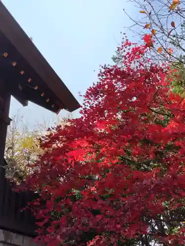 厚別神社(北海道)