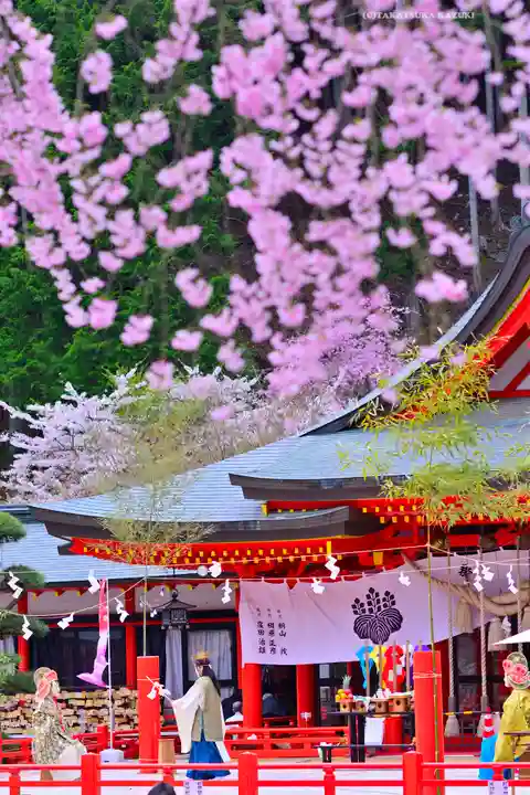 金櫻神社(山梨県)