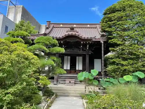 大巧寺の本殿・本堂