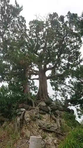 森戸大明神（森戸神社）の庭園