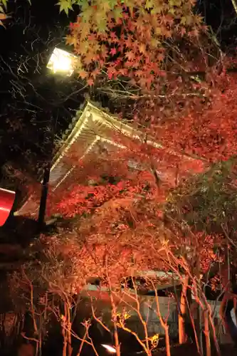 尊永寺(静岡県)