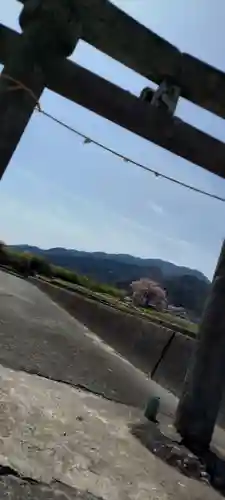 武田廣神社の鳥居