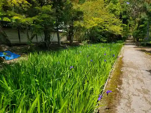 唐招提寺の自然