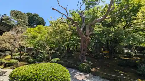 圓光寺(京都府)