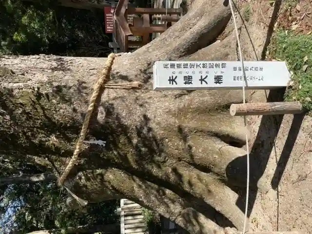 伊弉諾神宮(兵庫県)