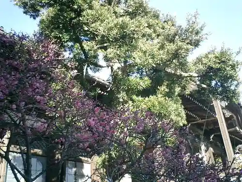 本覚寺のその他建物