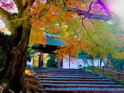 安楽寺(京都府)