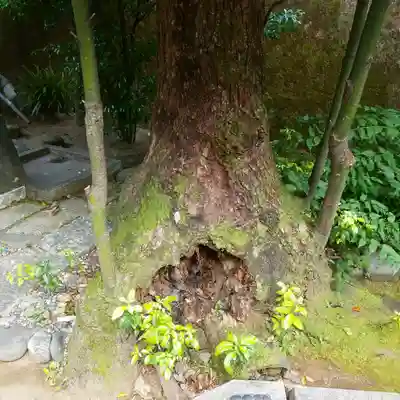 久國神社のその他建物