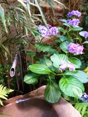 五十稲荷神社(栄寿稲荷神社)(東京都)