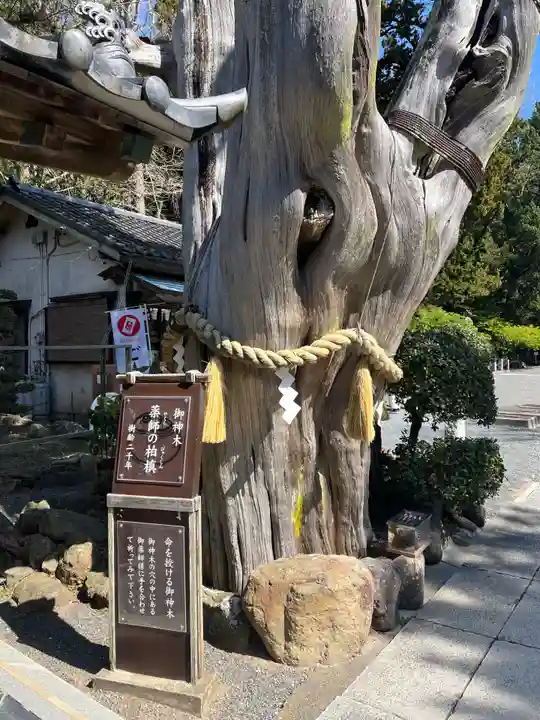 伊古奈比咩命神社の自然