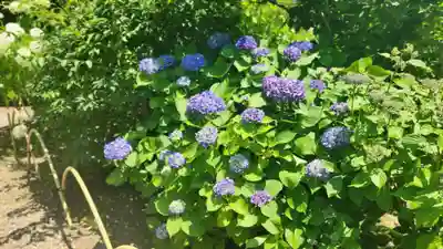 山神社(宮城県)