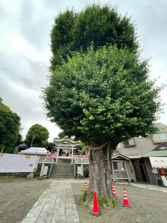 久里浜若宮神社(神奈川県)