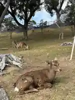 興福寺(奈良県)