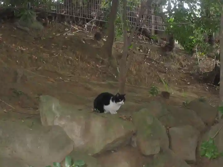 法真寺(東京都)
