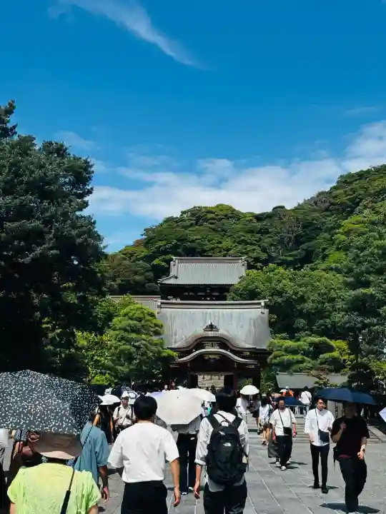 鶴岡八幡宮の景色