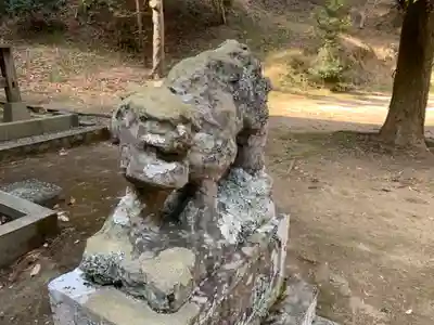 矢口神社の狛犬