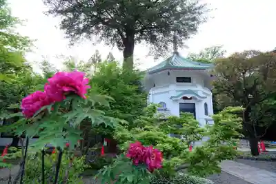 豪徳寺のその他建物