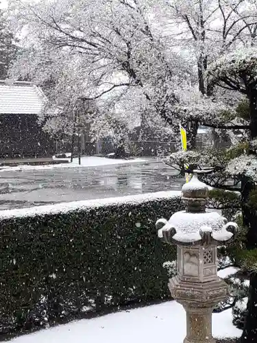伏木香取神社の自然