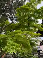 伊勢の国 四天王寺(三重県)