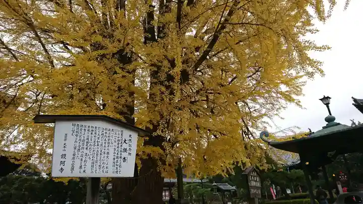 鑁阿寺(栃木県)