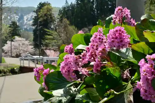 竹之高地不動社(新潟県)