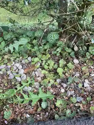 吉祥寺(岐阜県)