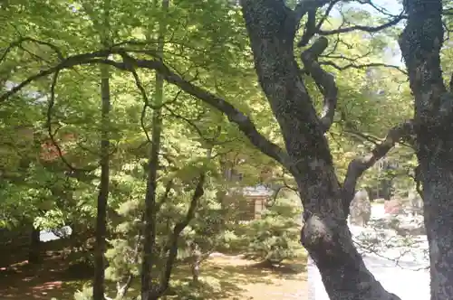 高野山金剛峯寺(和歌山県)