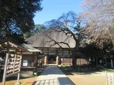 茂林寺の本殿・本堂